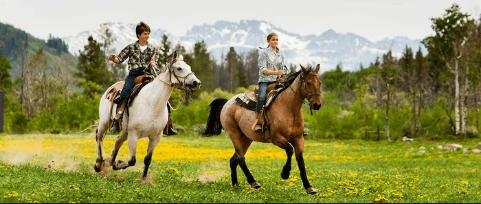 Confident plus-size woman riding Stockwood a horse through a field with a smile on her face.